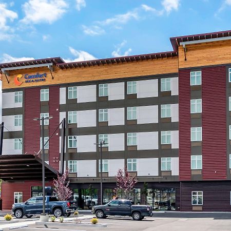Comfort Inn & Suites Lakewood By Jblm Екстер'єр фото